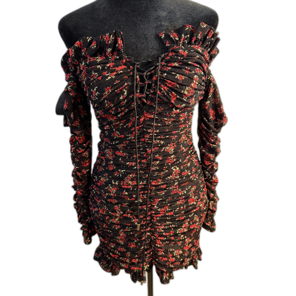 Black Red Floral Ruched Mesh Mini Dress — Off the shoulder. (Like Zara)